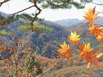 盧布匯率最新動(dòng)態(tài)，今日市場(chǎng)波動(dòng)情報(bào)速遞