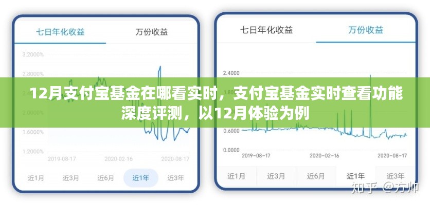 支付寶基金實時查看功能深度評測，以12月體驗為例，實時掌握基金動態(tài)
