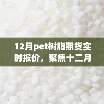 攀高結(jié)貴 第3頁