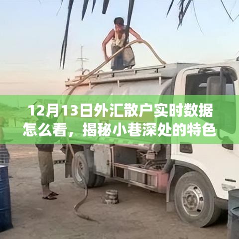 揭秘外匯散戶實時數(shù)據(jù)解讀秘籍，小巷特色小店的外匯數(shù)據(jù)觀察指南