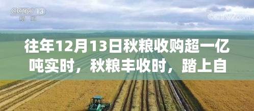 秋糧豐收時節(jié)，自然之旅與豐收喜悅的雙重體驗，探尋內心的寧靜之洲