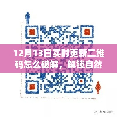 揭秘二維碼解鎖自然美景之旅，尋找內(nèi)心平靜的旅行冒險(xiǎn)攻略