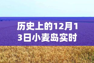 小麥島，12月13日的溫馨時(shí)光與實(shí)時(shí)記憶碎片