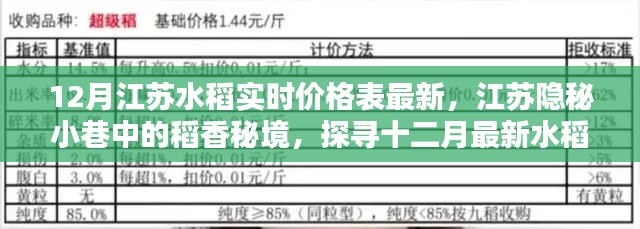江蘇稻香秘境，十二月水稻實(shí)時(shí)價(jià)格與美食探尋之旅