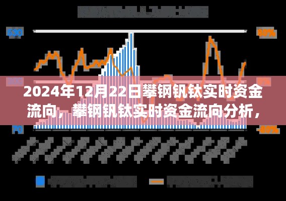 攀鋼釩鈦實時資金流向觀察與分析，2024年12月22日的觀點與洞察