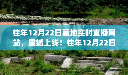 棲沖業(yè)簡 第3頁