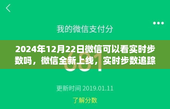 微信全新上線實時步數(shù)追蹤功能，感受科技與健康生活的融合（時間，2024年12月22日）
