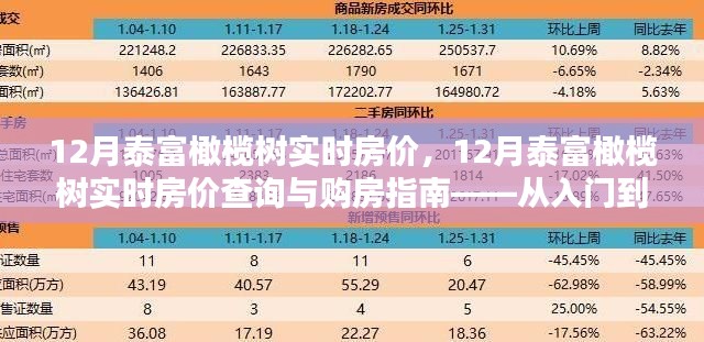12月泰富橄欖樹實時房價詳解，購房指南與查詢攻略