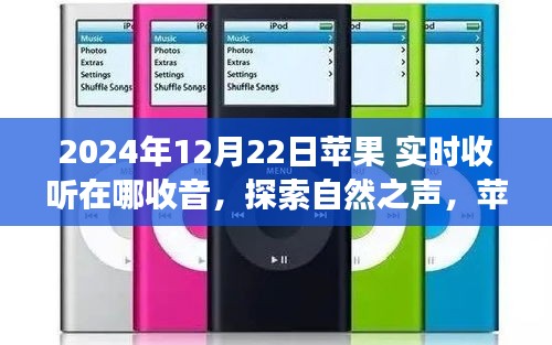 輕徙鳥舉 第2頁