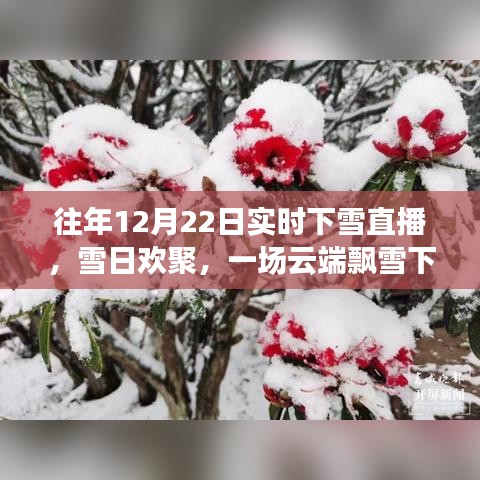 云端飄雪下的歡聚時(shí)光，12月22日實(shí)時(shí)下雪直播日常