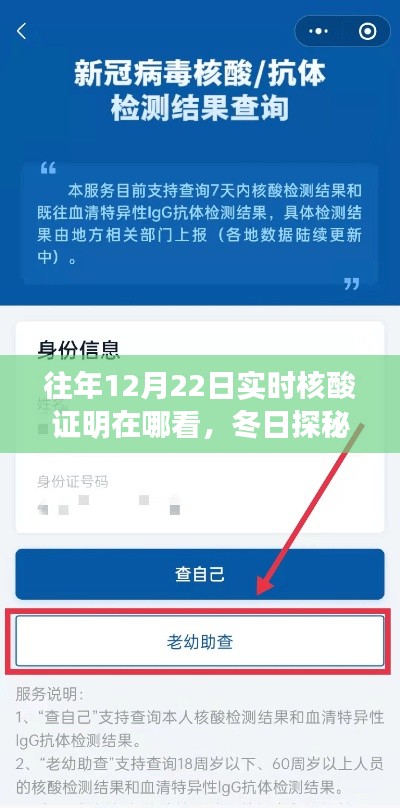 冬日探秘，尋找往年12月22日核酸證明的小故事與實時查詢攻略