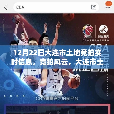 大連市土地競拍風云，實時信息揭秘溫暖日常