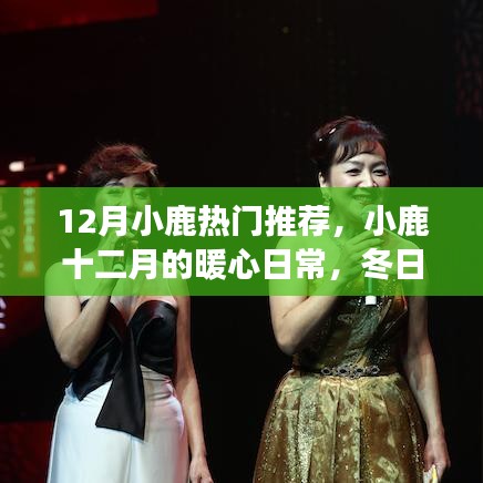 小鹿十二月的暖心日常，冬日趣事與溫馨之旅