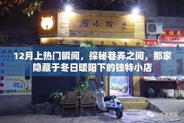 探秘冬日暖陽(yáng)下的獨(dú)特小店，巷弄間的熱門(mén)瞬間