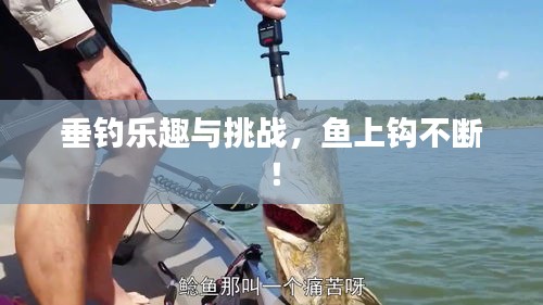 垂釣樂趣與挑戰(zhàn)，魚上鉤不斷！