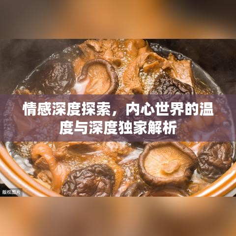 情感深度探索，內(nèi)心世界的溫度與深度獨(dú)家解析