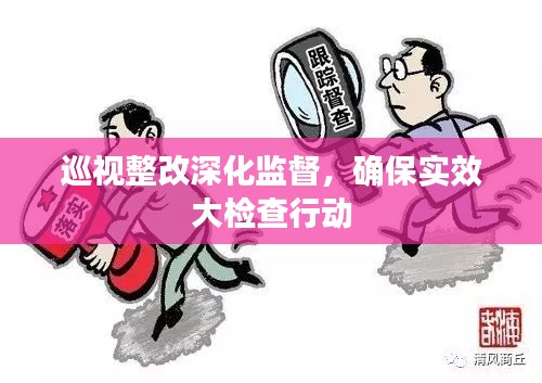 巡視整改深化監(jiān)督，確保實效大檢查行動