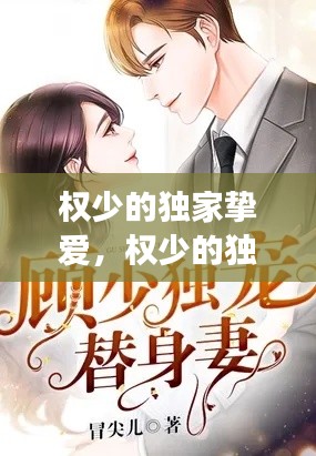 權(quán)少的獨家摯愛，權(quán)少的獨家寵愛免費閱讀全文曲清歌 
