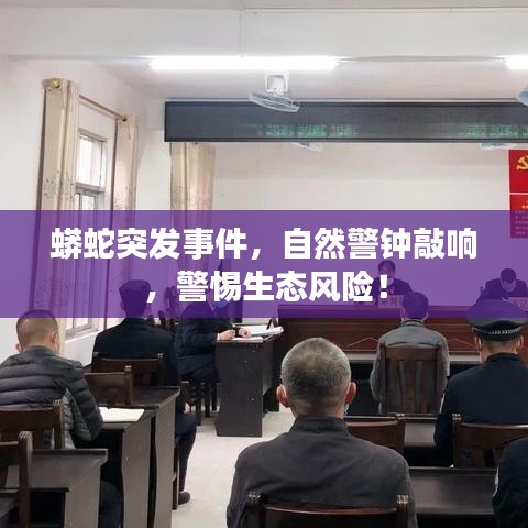 蟒蛇突發(fā)事件，自然警鐘敲響，警惕生態(tài)風(fēng)險(xiǎn)！