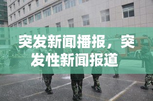 龍馬精神 第2頁