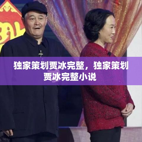 獨(dú)家策劃賈冰完整，獨(dú)家策劃賈冰完整小說(shuō) 