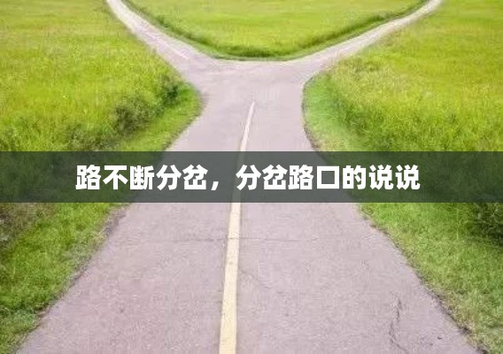 路不斷分岔，分岔路口的說(shuō)說(shuō) 