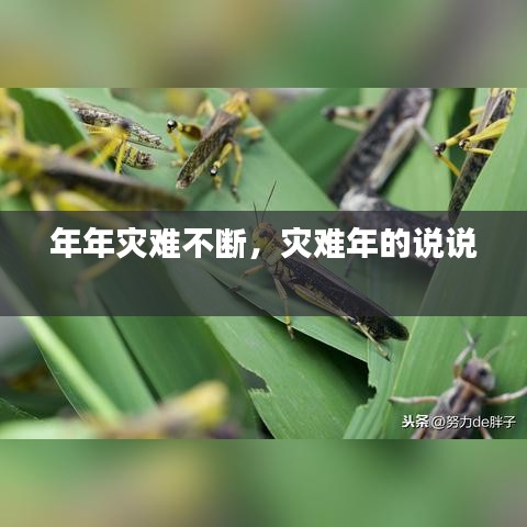 年年災(zāi)難不斷，災(zāi)難年的說說 