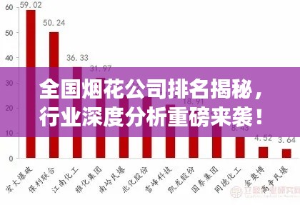 全國煙花公司排名揭秘，行業(yè)深度分析重磅來襲！