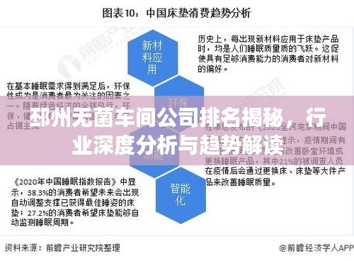 邳州無(wú)菌車間公司排名揭秘，行業(yè)深度分析與趨勢(shì)解讀