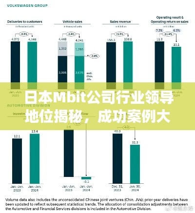 日本Mbit公司行業(yè)領(lǐng)導(dǎo)地位揭秘，成功案例大解析