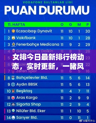 女排今日最新排行榜動態(tài)，實時更新，一睹風(fēng)采！