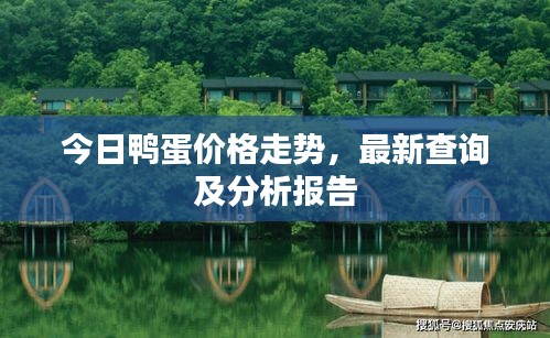 今日鴨蛋價(jià)格走勢(shì)，最新查詢(xún)及分析報(bào)告