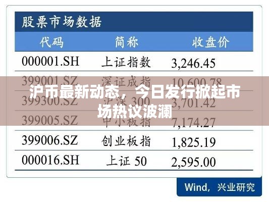 滬幣最新動態(tài)，今日發(fā)行掀起市場熱議波瀾