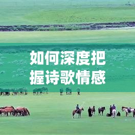 如何深度把握詩歌情感？專題探究帶你領(lǐng)略詩歌之美