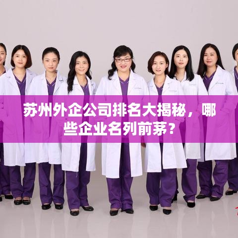 蘇州外企公司排名大揭秘，哪些企業(yè)名列前茅？