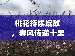 張牙舞爪 第2頁