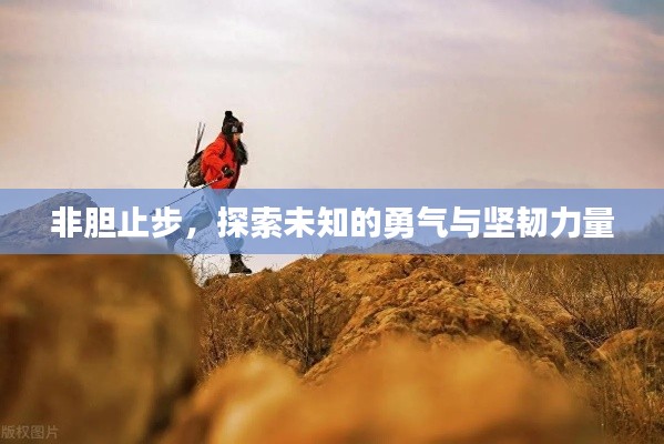 瞻云就日 第2頁(yè)