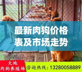 最新肉狗價(jià)格表及市場(chǎng)走勢(shì)分析，多重因素揭秘價(jià)格浮動(dòng)原因