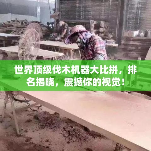 世界頂級(jí)伐木機(jī)器大比拼，排名揭曉，震撼你的視覺！