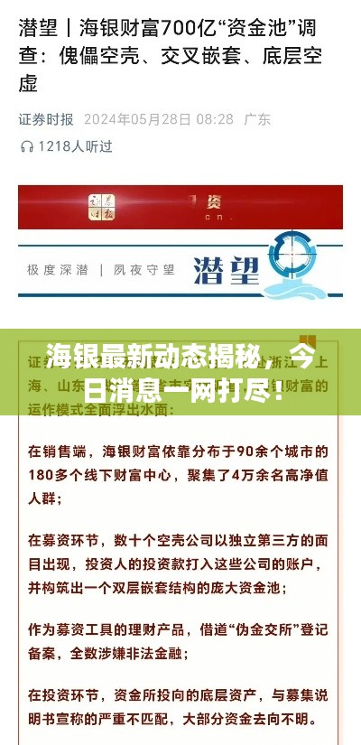 海銀最新動(dòng)態(tài)揭秘，今日消息一網(wǎng)打盡！