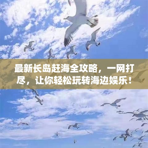 最新長島趕海全攻略，一網(wǎng)打盡，讓你輕松玩轉(zhuǎn)海邊娛樂！