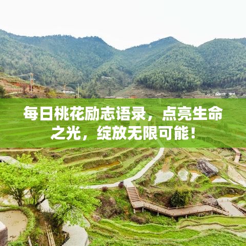 每日桃花勵(lì)志語錄，點(diǎn)亮生命之光，綻放無限可能！