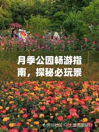 月季公園暢游指南，探秘必玩景點，輕松開啟浪漫之旅！