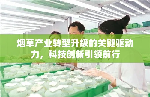 煙草產(chǎn)業(yè)轉(zhuǎn)型升級的關鍵驅(qū)動力，科技創(chuàng)新引領前行