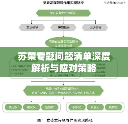 蘇榮專題問題清單深度解析與應(yīng)對策略