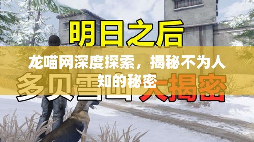 龍喵網(wǎng)深度探索，揭秘不為人知的秘密