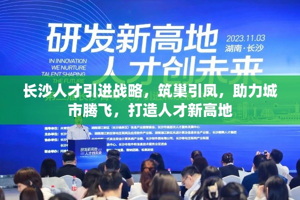 長沙人才引進戰(zhàn)略，筑巢引鳳，助力城市騰飛，打造人才新高地