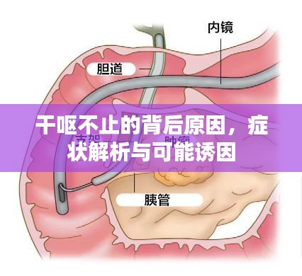 干嘔不止的背后原因，癥狀解析與可能誘因