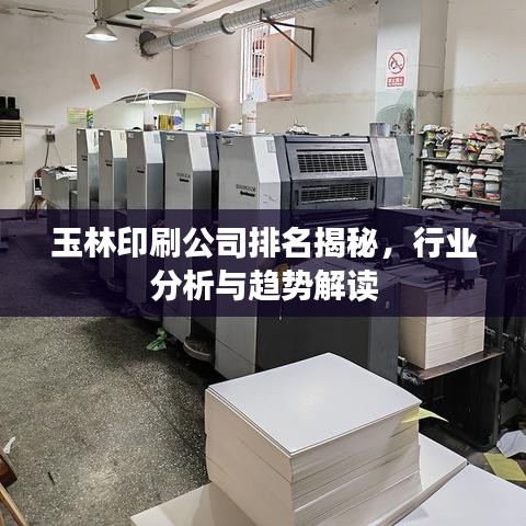 玉林印刷公司排名揭秘，行業(yè)分析與趨勢(shì)解讀