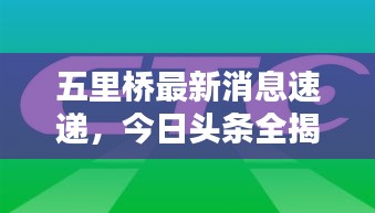 五里橋最新消息速遞，今日頭條全揭秘！